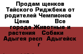 Продам щенков Тайского Риджбека от родителей Чемпионов › Цена ­ 30 000 - Все города Животные и растения » Собаки   . Адыгея респ.,Адыгейск г.